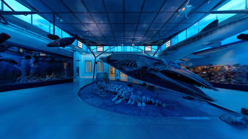 Schloss Rosenstein -